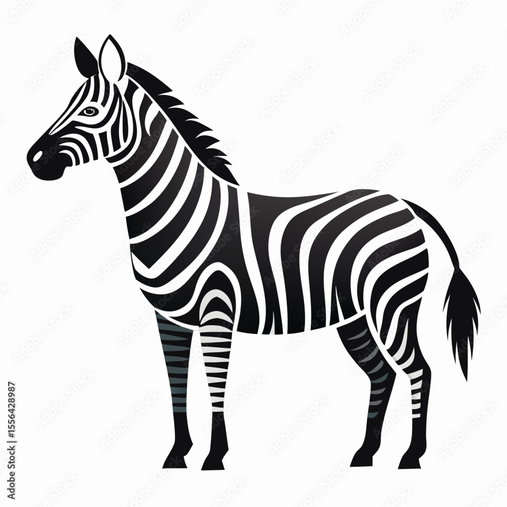 Obraz premium zebra vector illustration