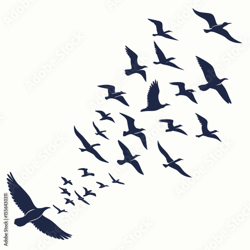 Group of birds flying silhouette, scattered flock design, modern minimal vector.