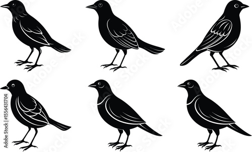 A set of bird silhouettes with various wildlife animal illustration designs