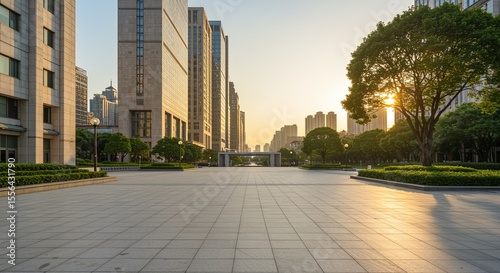 Urban landscape city architecture with buildings and trees in the golden hour sunlight view cityscape