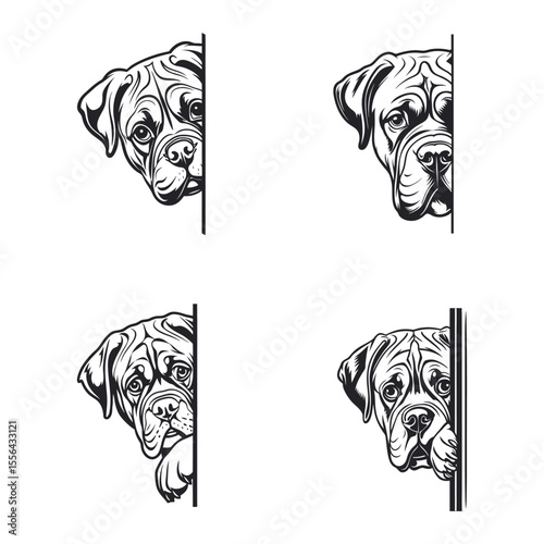 Dogue De Bordeaux Dog Svg