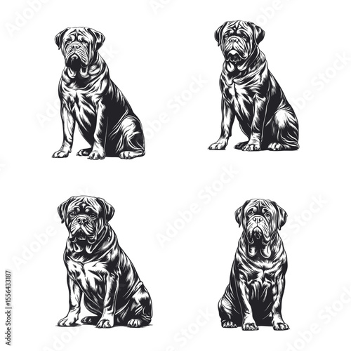 Dogue De Bordeaux Dog Svg