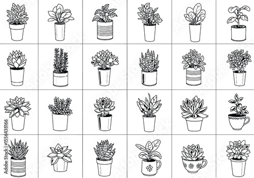 Collection of 24 Line Art Drawings of Potted Plants Succulents, Herbs, and Flowers
