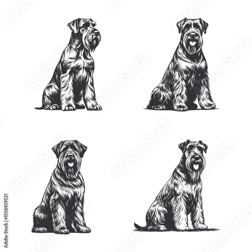 Giant Schnauzer Dog Svg