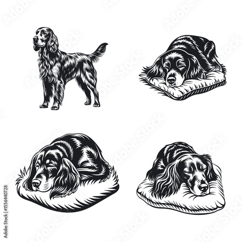 Gordon Setter Dog Svg