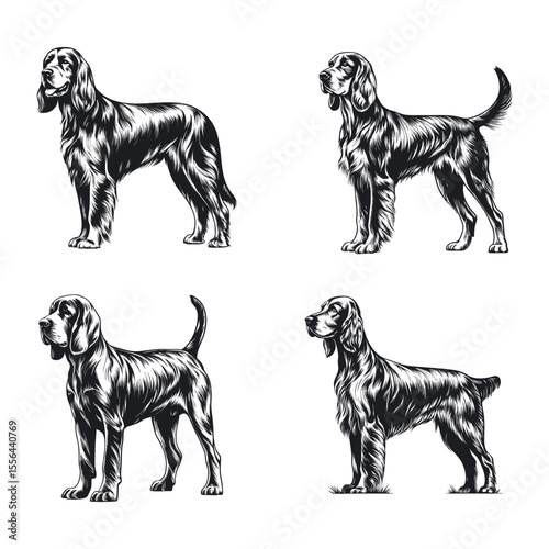 Gordon Setter Dog Svg