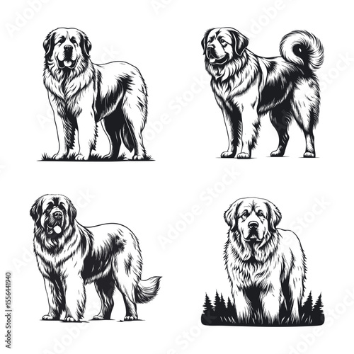 Great Pyrenees Dog Svg
