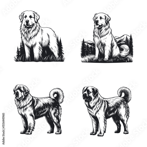 Great Pyrenees Dog Svg
