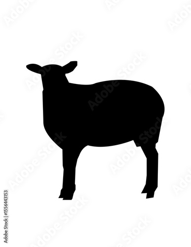 black goat