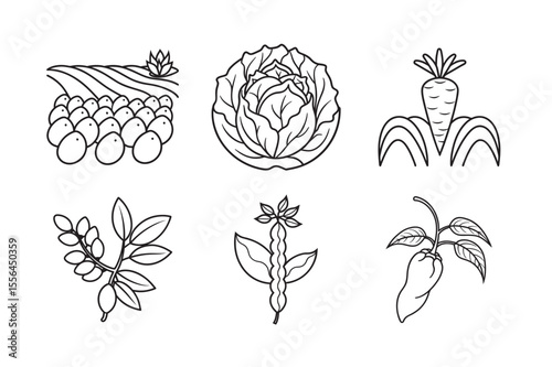 line art of radish chili potato cabbage chickpea  bundle on the white background 