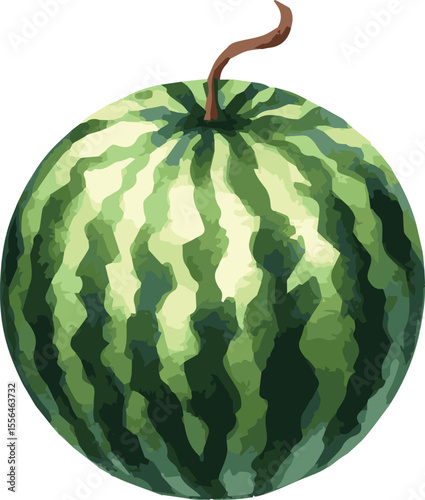 Vector watercolor painted illustration of a watermelon
