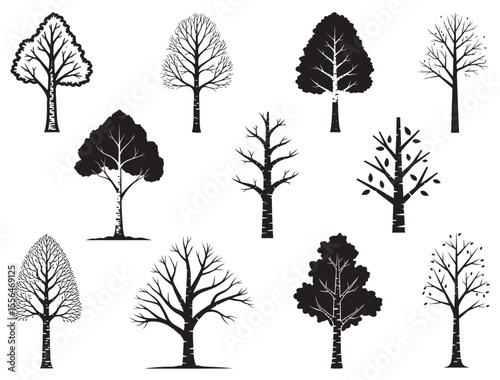 BIRCH TREE SILHOUETTE