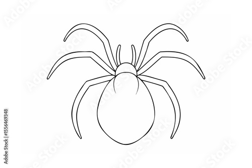 Black spider outline arachnid insect