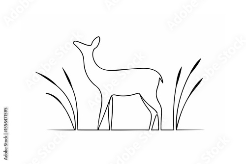 Elegant deer standing in tall grass fawn animal
