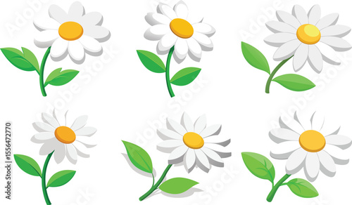 Six white daisies with green leaves isolated on transparent background