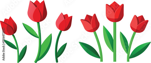 Simple red tulips, isolated on transparent background