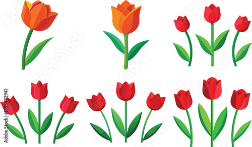 Set of red and orange tulips, isolated on transparent background
