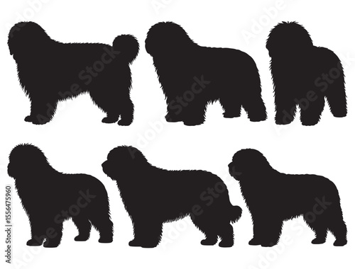 KOMONDOR DOG SILHOUETTE