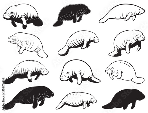 MANATEE SILHOUETTE