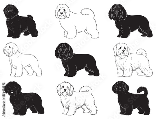 LOWCHEN DOG SILHOUETTE