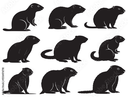 MARMOT SILHOUETTE