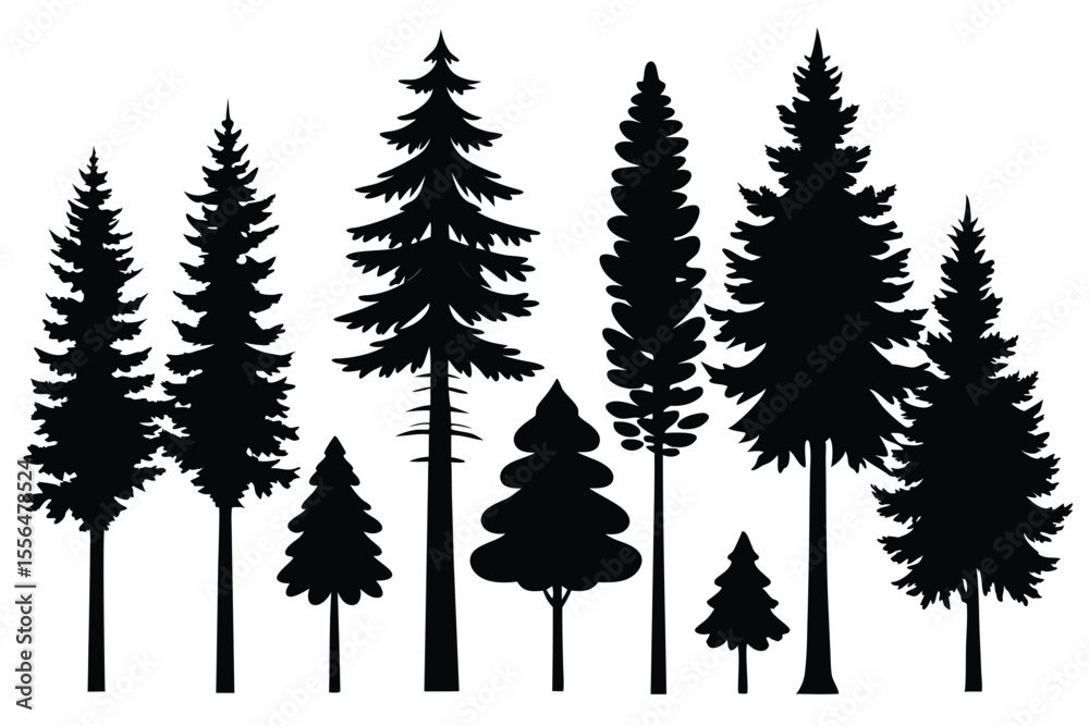 Obraz premium Silhouettes of evergreen trees in a forest setting 