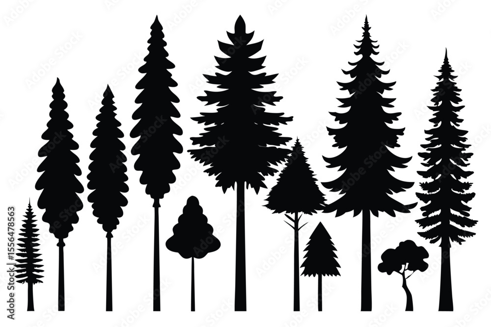 Fototapeta premium Silhouettes of evergreen trees in a forest setting 
