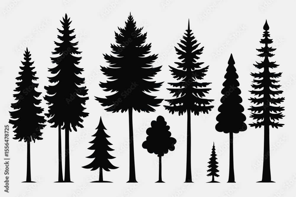 Obraz premium Silhouettes of evergreen trees in a forest setting 