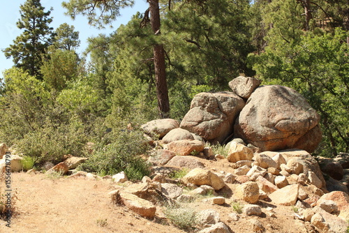 Hualapai Mountain Kingman Arizona State Park 
