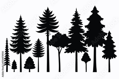 Silhouettes of evergreen trees in a forest setting
