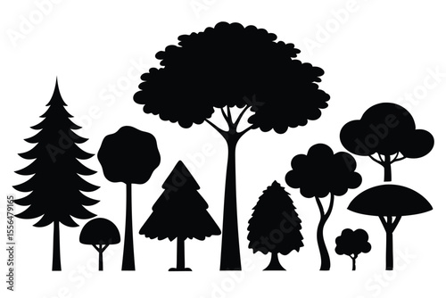 Silhouettes of evergreen trees in a forest setting
