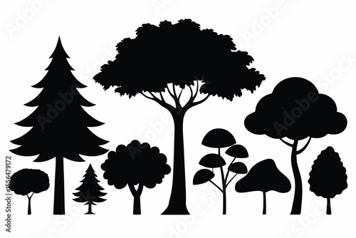 Silhouettes of evergreen trees in a forest setting
