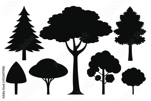 Silhouettes of evergreen trees in a forest setting
