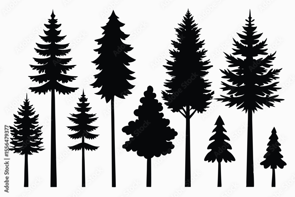 Obraz premium Silhouettes of evergreen trees in a forest setting 