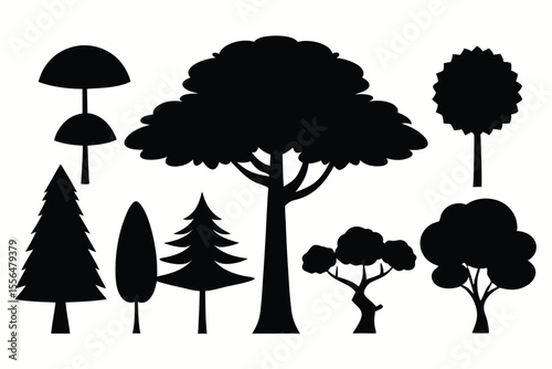 Silhouettes of evergreen trees in a forest setting
