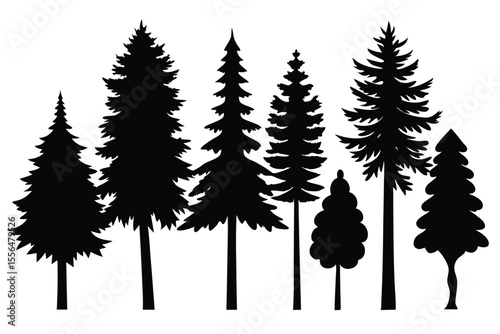 Silhouettes of evergreen trees in a forest setting
