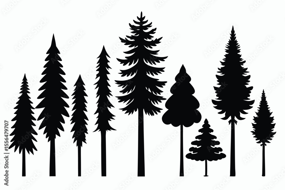 Obraz premium Silhouettes of evergreen trees in a forest setting 