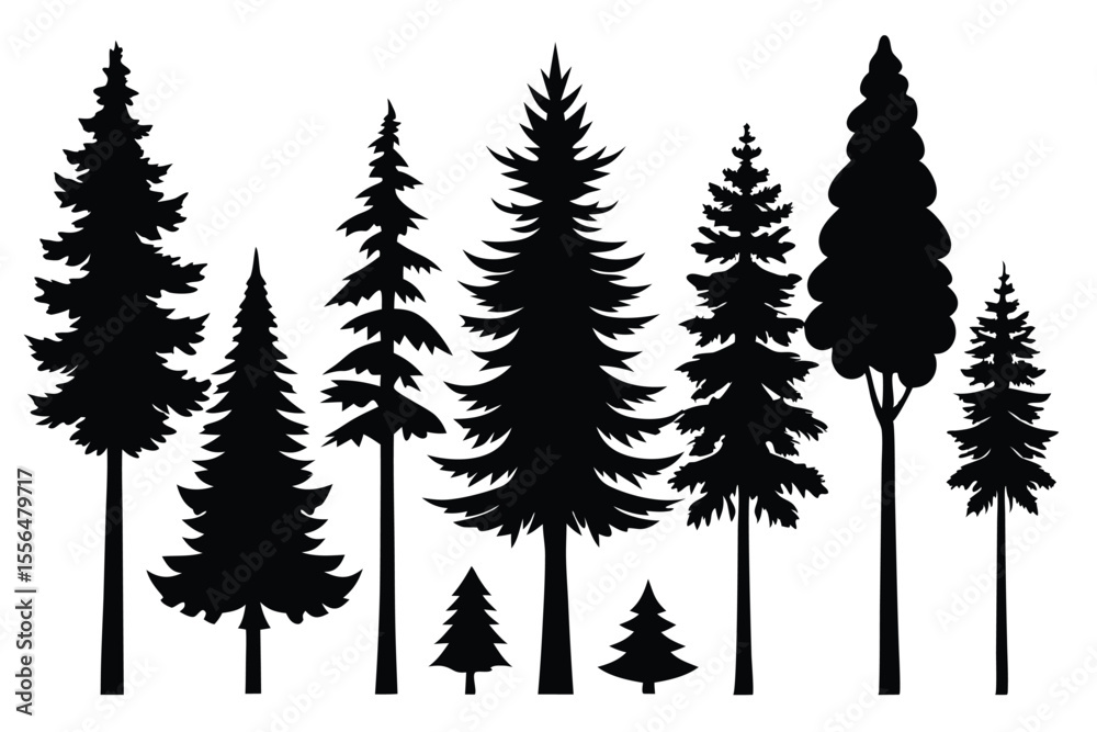 Fototapeta premium Silhouettes of evergreen trees in a forest setting