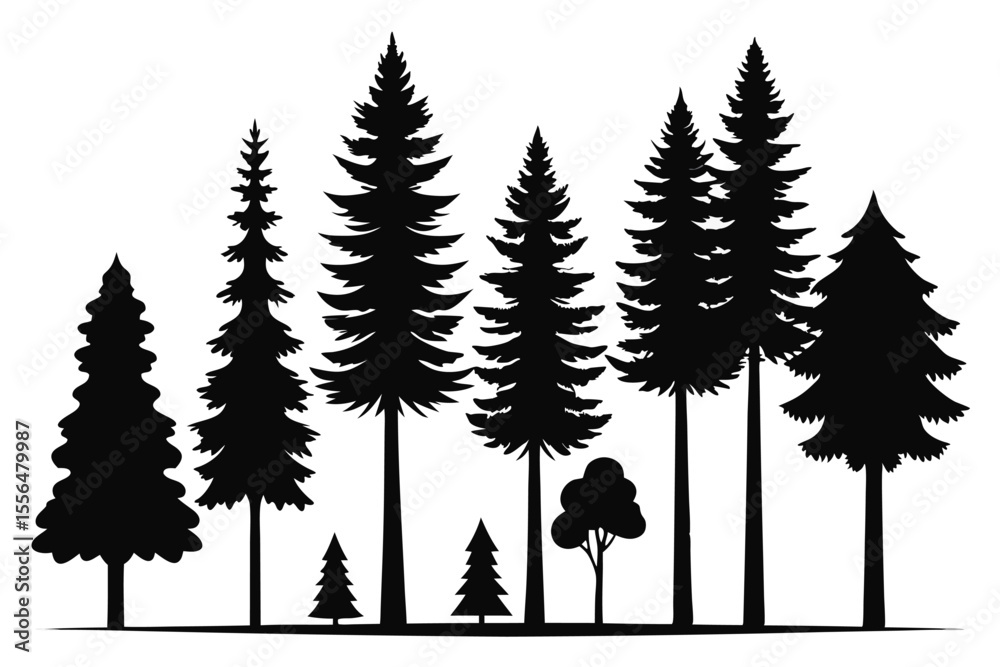 Obraz premium Silhouettes of evergreen trees in a forest setting 