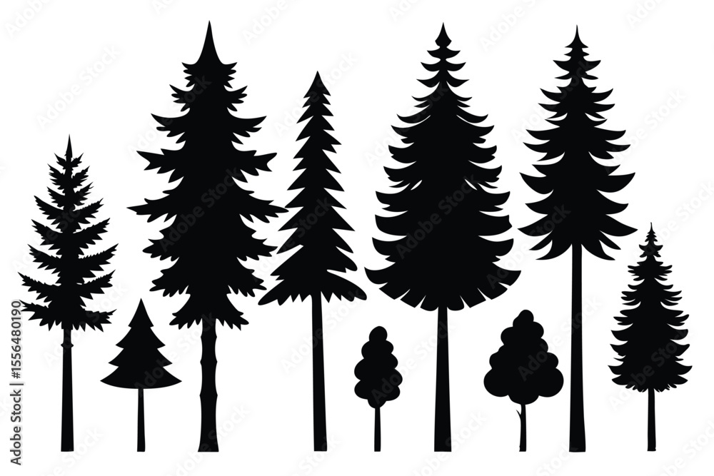 Obraz premium Silhouettes of evergreen trees in a forest setting 