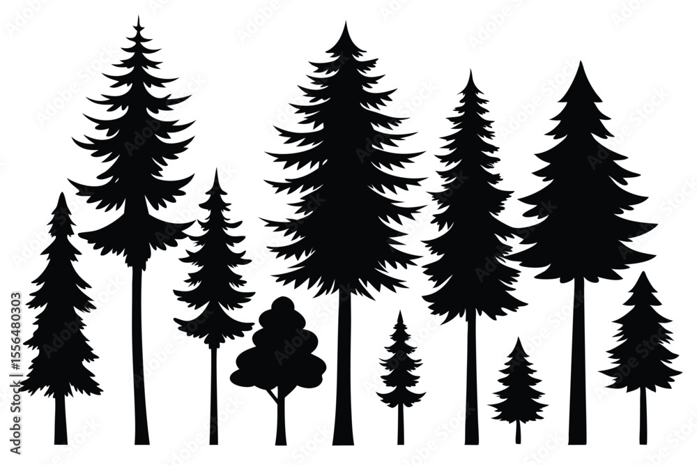 Fototapeta premium Silhouettes of evergreen trees in a forest setting 