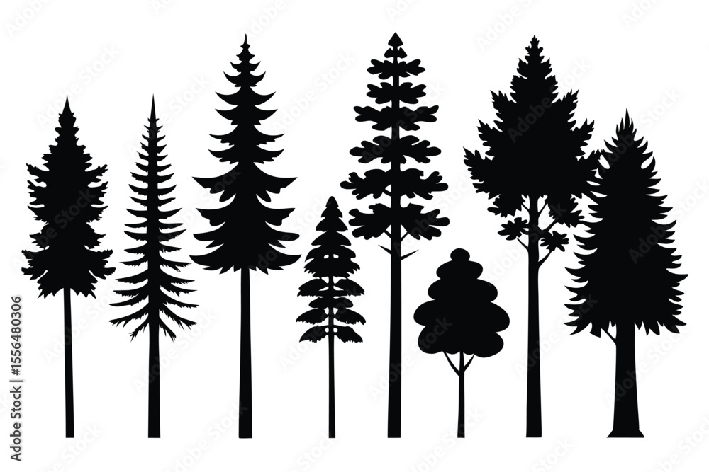 Obraz premium Silhouettes of evergreen trees in a forest setting 