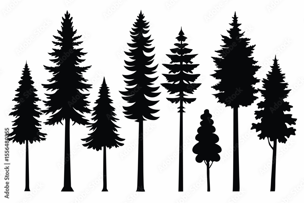 Fototapeta premium Silhouettes of evergreen trees in a forest setting 