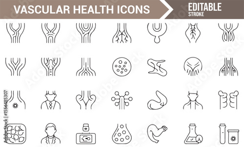 Collection of Circulatory and Vascular Health Icons for Medical Illustrations and Web Design