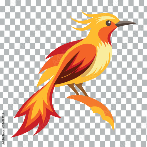 vector illustration of a bird