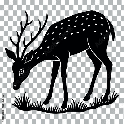 deer in the forest