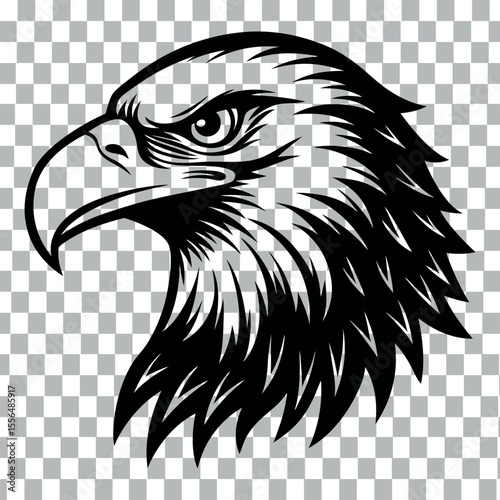 eagle head vector illustration