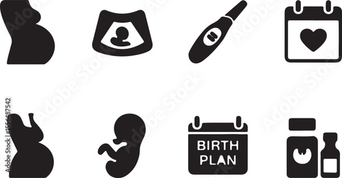Pregnancy Journey Ultrasound, Tests, Birth Plan, and Baby's Growth