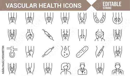 Icons representing vascular system, veins, arteries, and medical care
