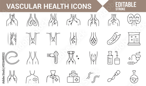 Icons depicting vascular health, circulation, and cardiovascular treatments